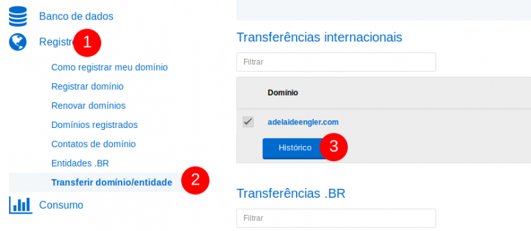 Transferência De Domínios Internacionais Para A Hostnet - Central De ...